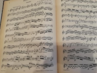 Sonatenbuch [L. v. Beethoven]