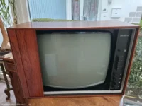 Fernseher Vintage Bang & Olufsen Palisanderschrank