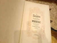 Beethoven sonaten joseph joachim